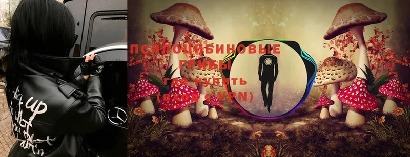 Псилоцибиновые грибы Magic Shrooms  гидра вход  Бор  закладка 